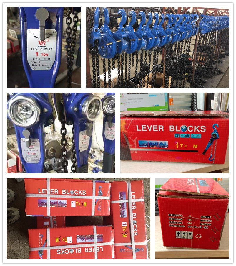 lever block hoist (3)