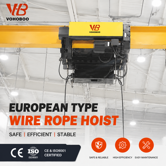 CE FEM2m IP55 380V 1t 2t 3t 5t 10t European Wire Rope Hoist Workshop Factory Price OEM Wholesale Customized